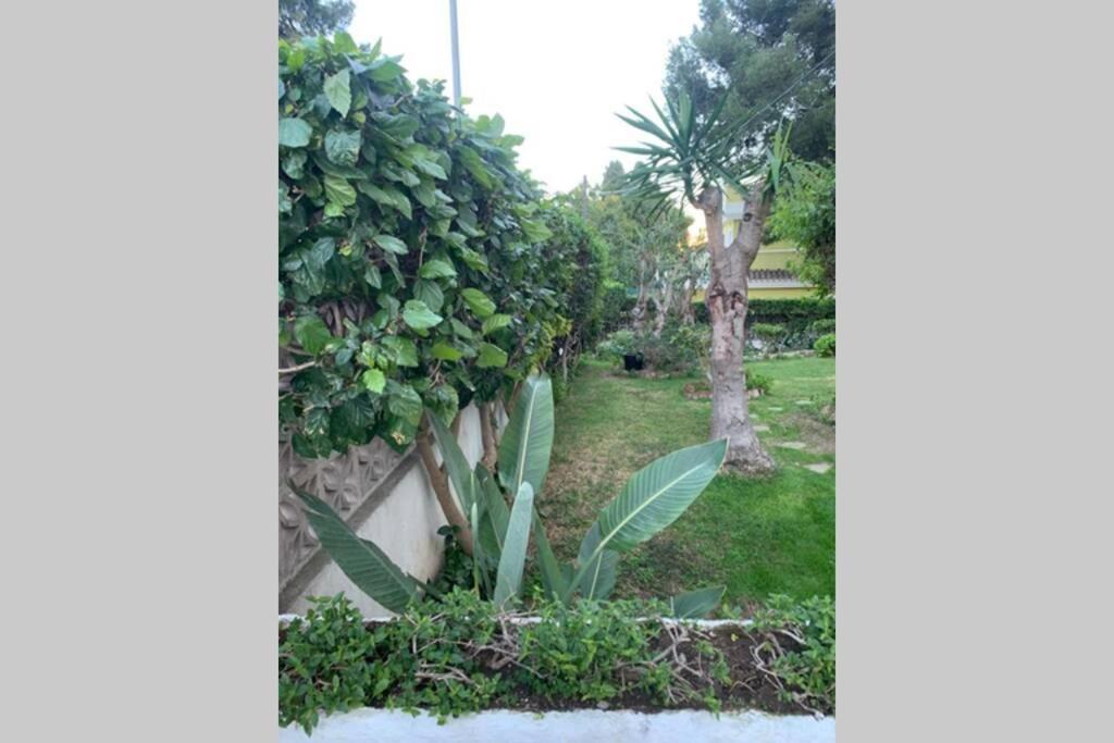 Apartamento LA DORADA Torremolinos Exterior foto